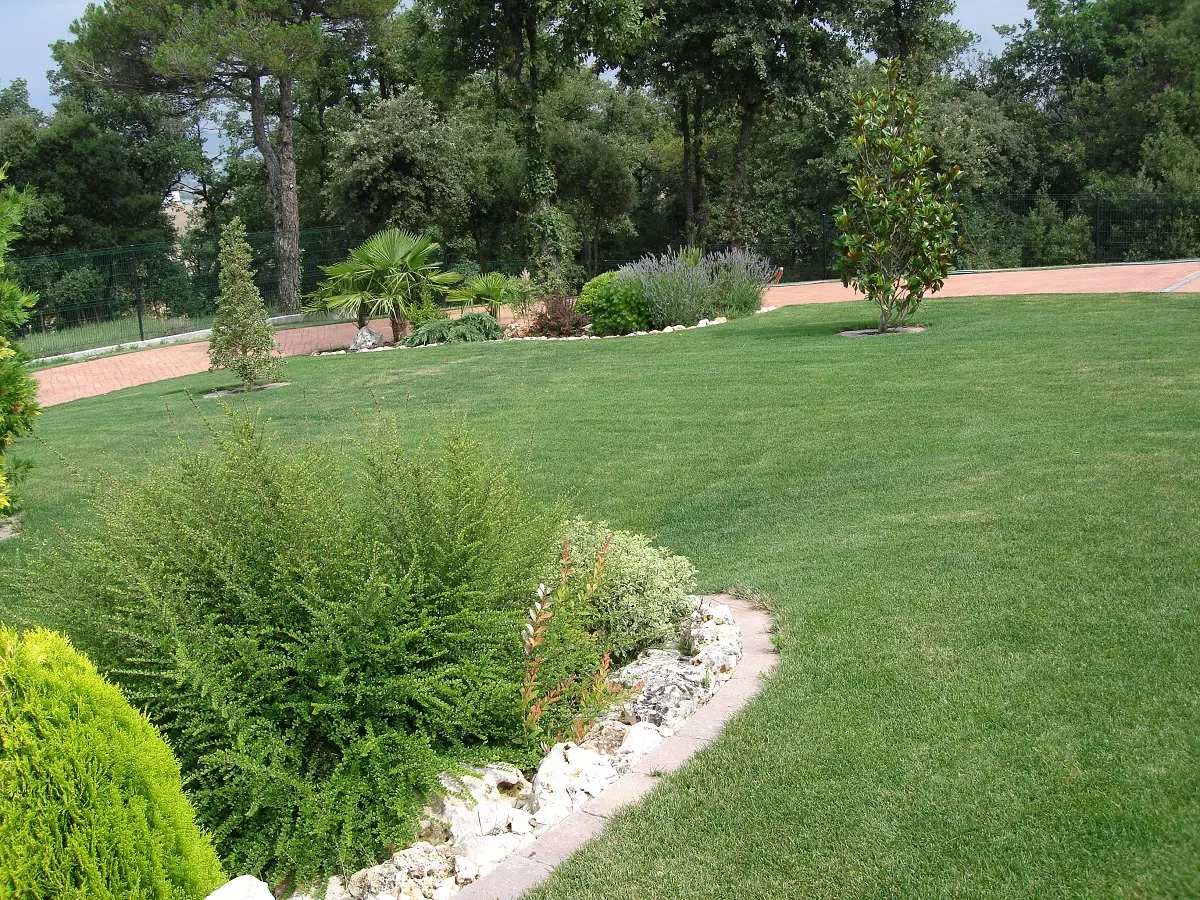 jardin dise帽o Cortar c茅sped Sevilla